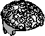 Hair, Short Coiled
