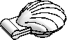 Clam