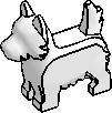 Dog, Terrier