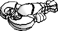 Lobster