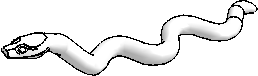 Snake, Raised Head