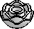 Flower, Peony