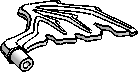 Wing, Dragon