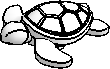 Turtle, Small