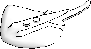 Stingray